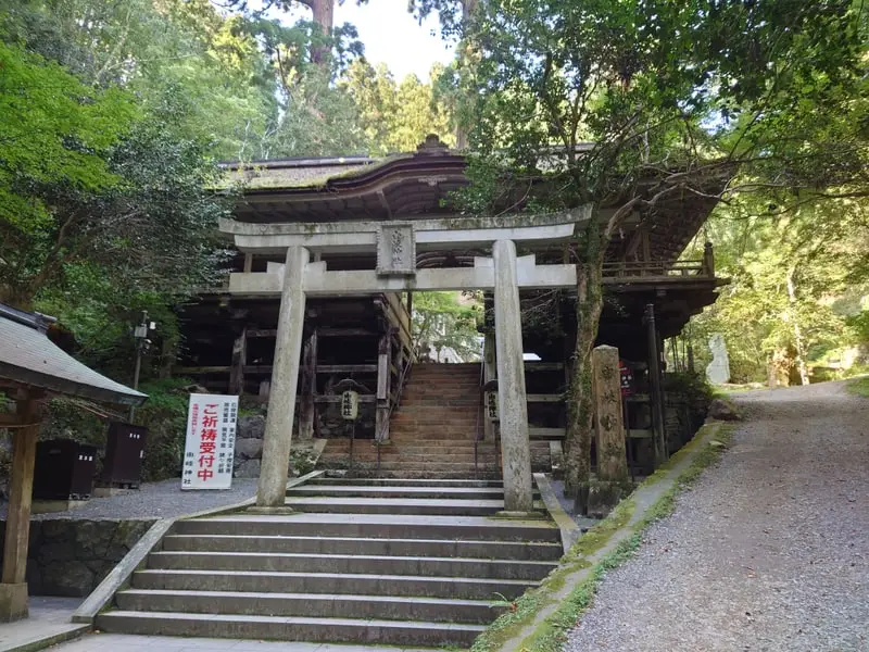 A quiet stone stairway leading up to a shrine gate through the forest near Kyoto