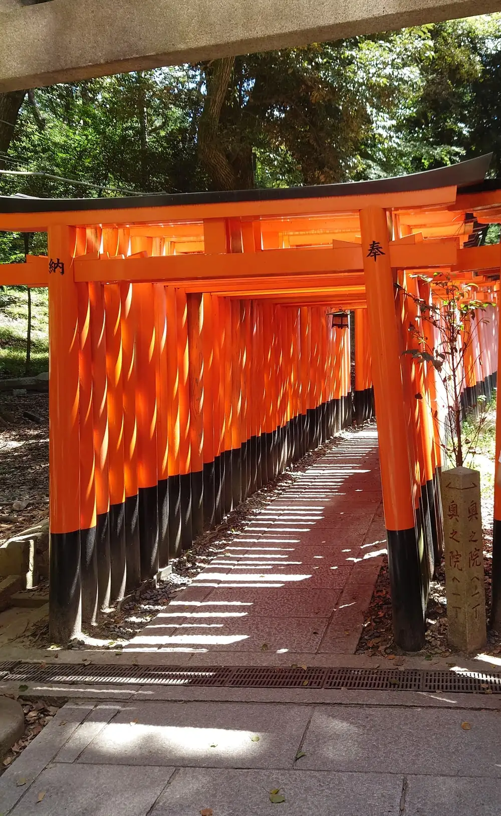 A path lined with thousands of vermilion torii gates at Fushimi Inari Taisha in Kyoto