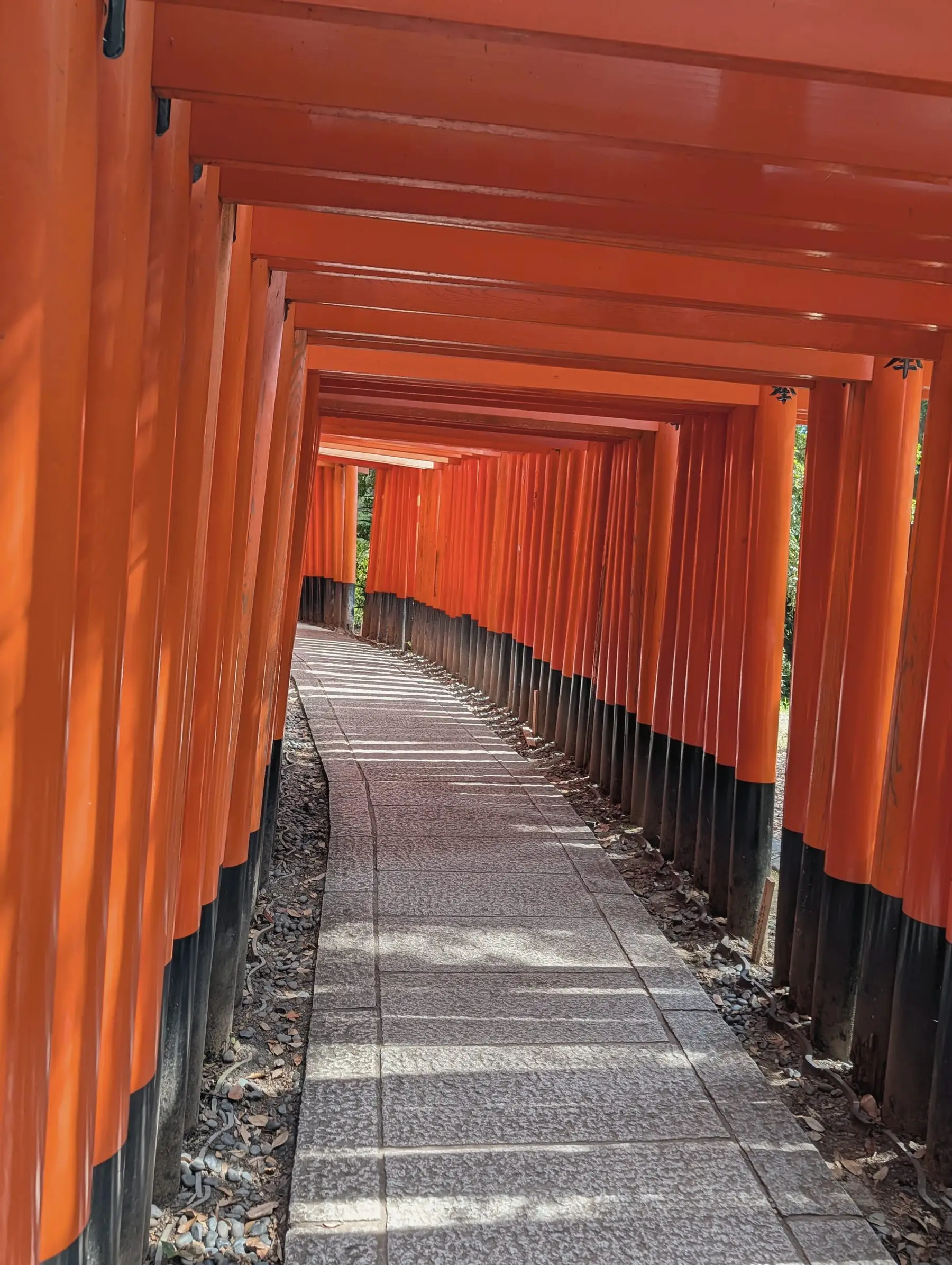 A path lined with thousands of vermilion torii gates at Fushimi Inari Taisha