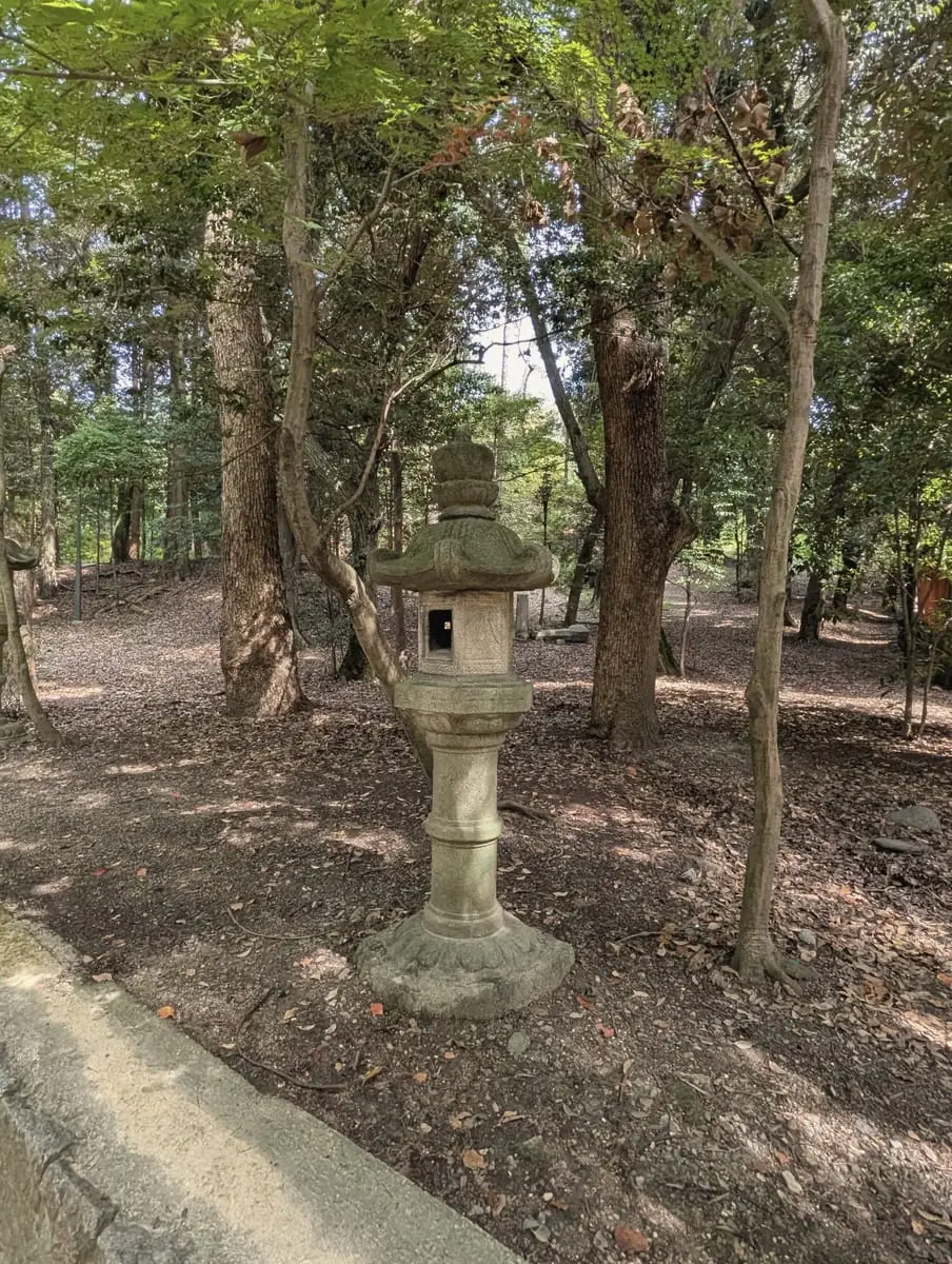 A moss-covered stone lantern standing in a quiet wood