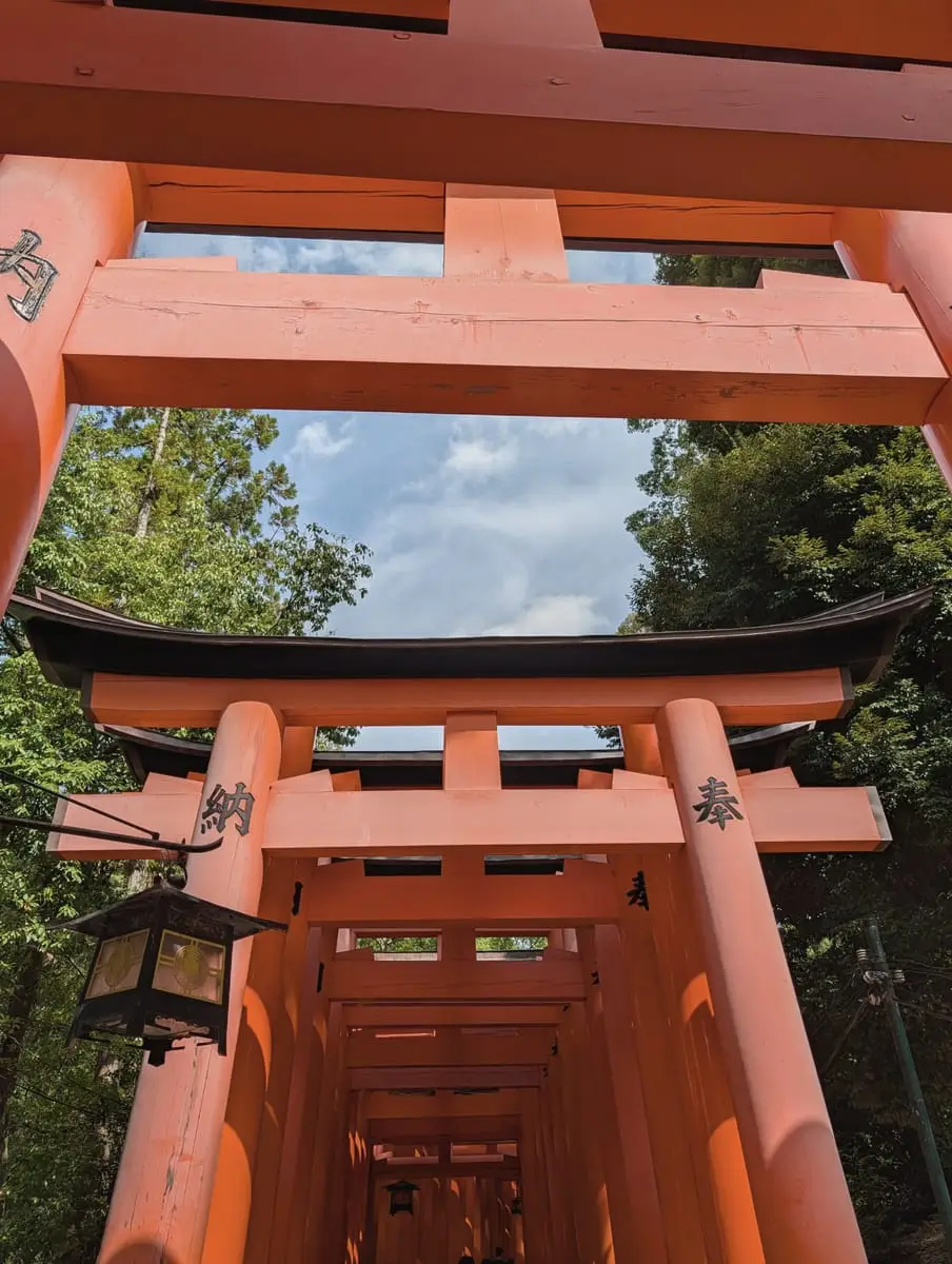 A hanging lantern beside a receding row of torii gates