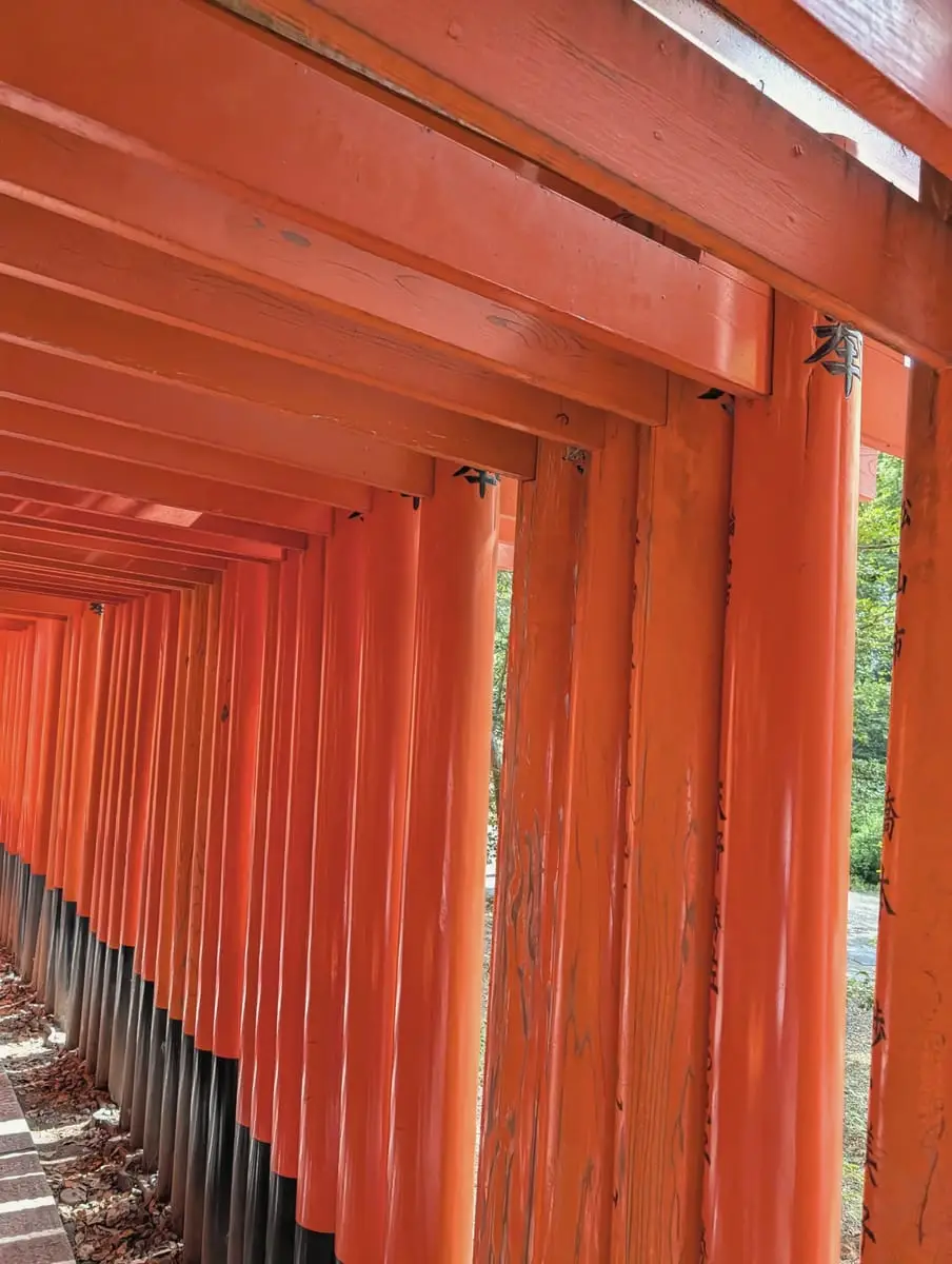 Sunlight falling across a long corridor of vermilion torii gates
